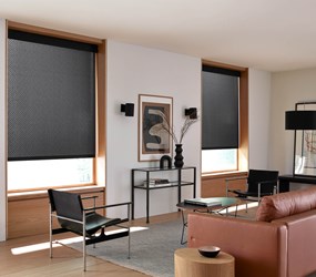 American Blinds: Legacy Light Filtering Roller Shades